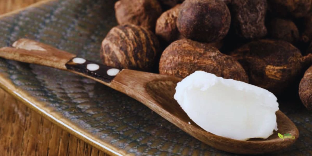 Babassu oil
