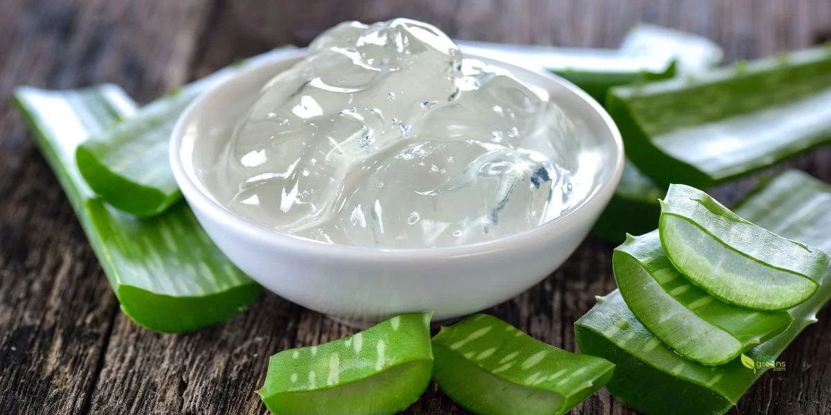 Aloe vera gel