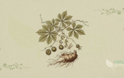 Dioscorea hispida (Asiatic Bitter Yam): Complete Botanical Profile