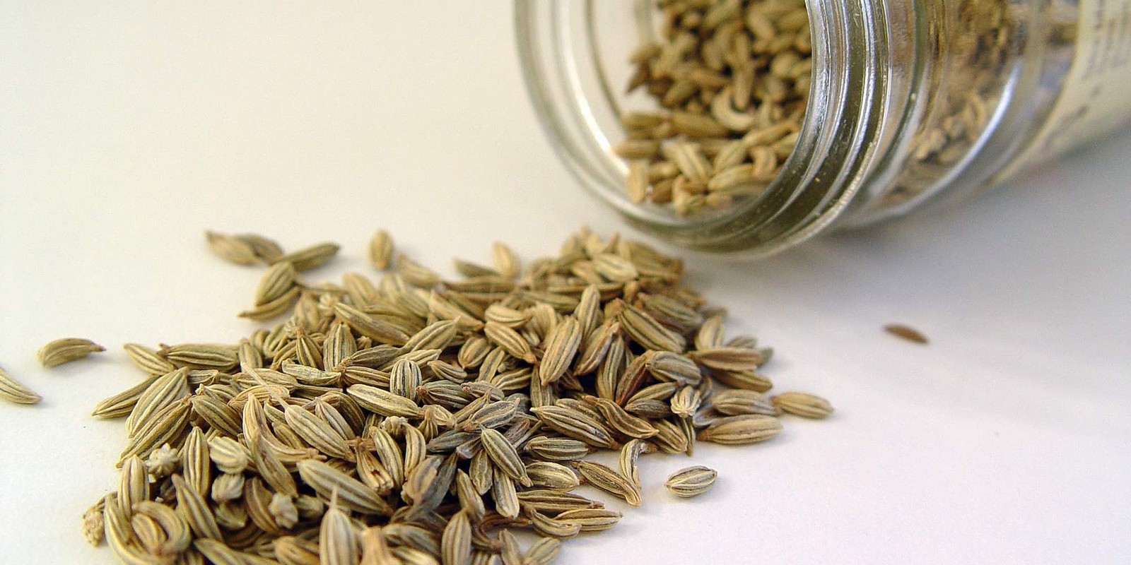 Bocal en verre renversé laissant échapper des fruits secs de Foeniculum vulgare, côtes longitudinales pâles visibles sur chaque méricarpe.